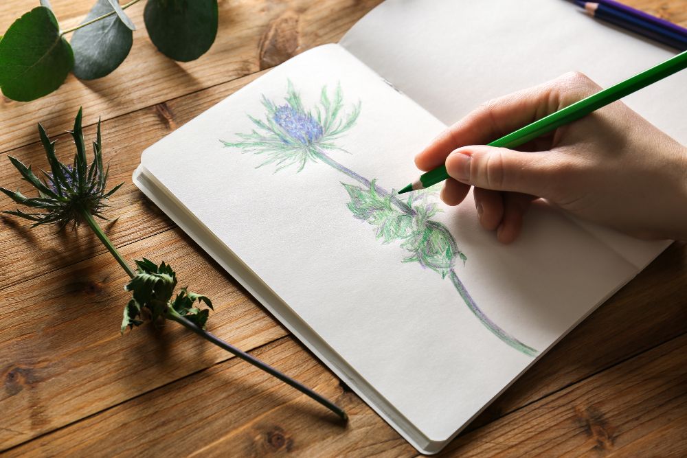 Moleskine Sketchbook with ivory colored pages