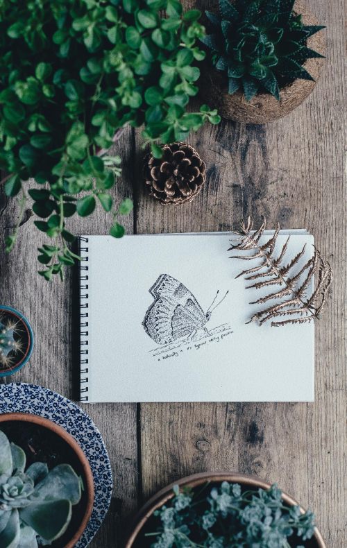 Strathmore vs. Moleskine